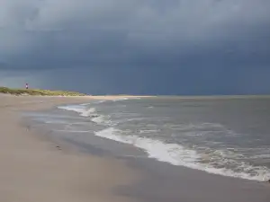 Kolik Stojí Živnostenský List