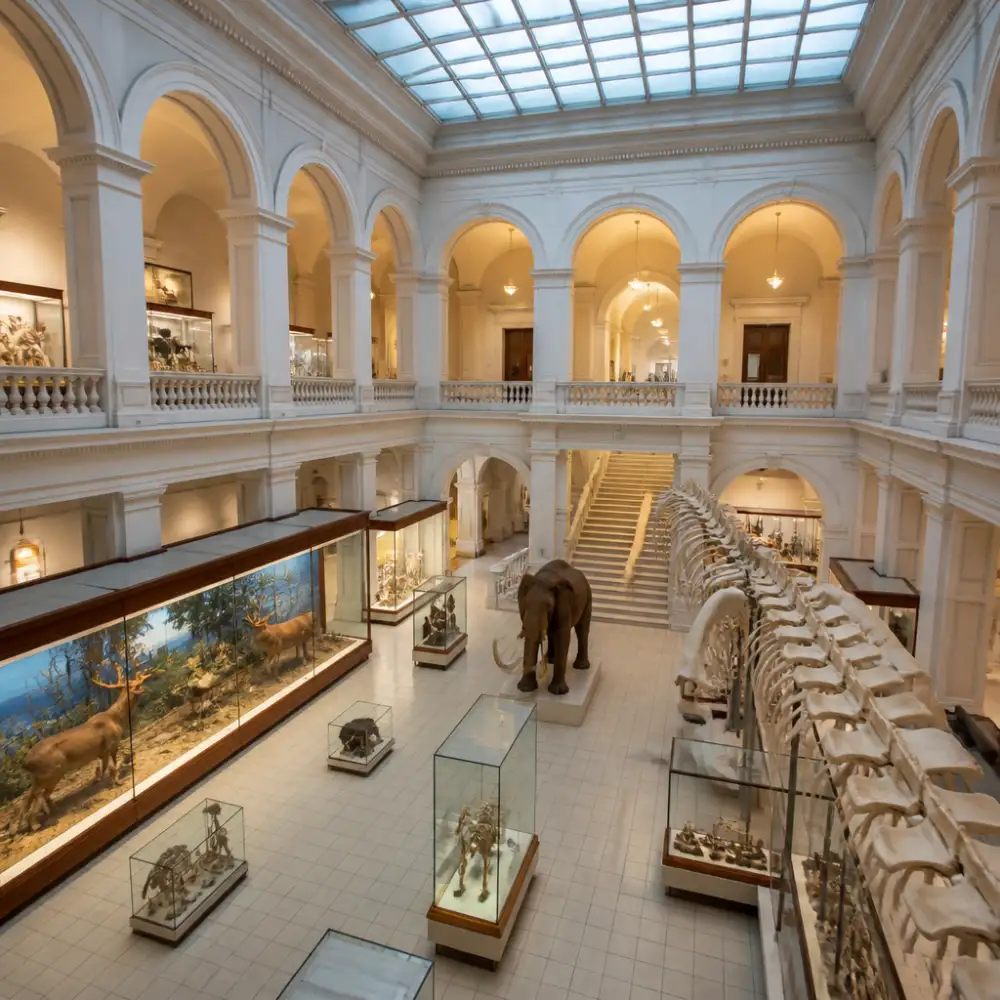 moravské zemské muzeum